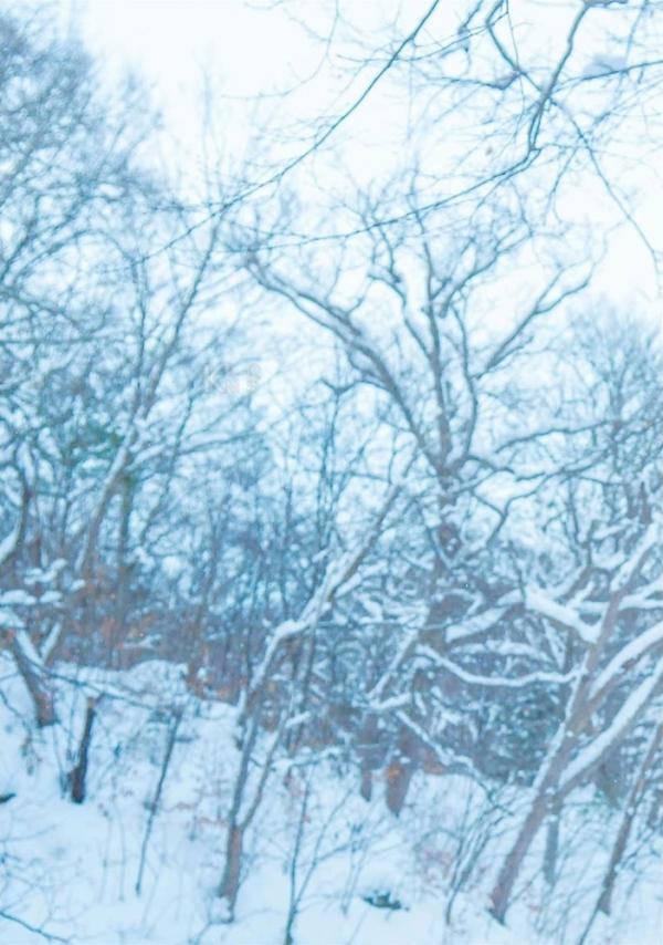 Whoseman-10-犬系男孩-安東尼-北海道特別企劃